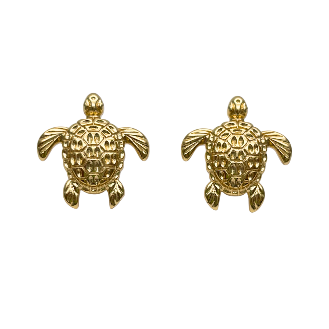 ARETES TORTUGA MARINA