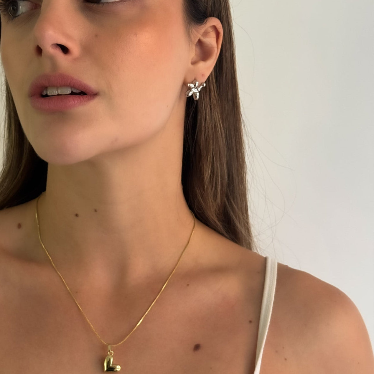 ARETES PERRITO GLOBO