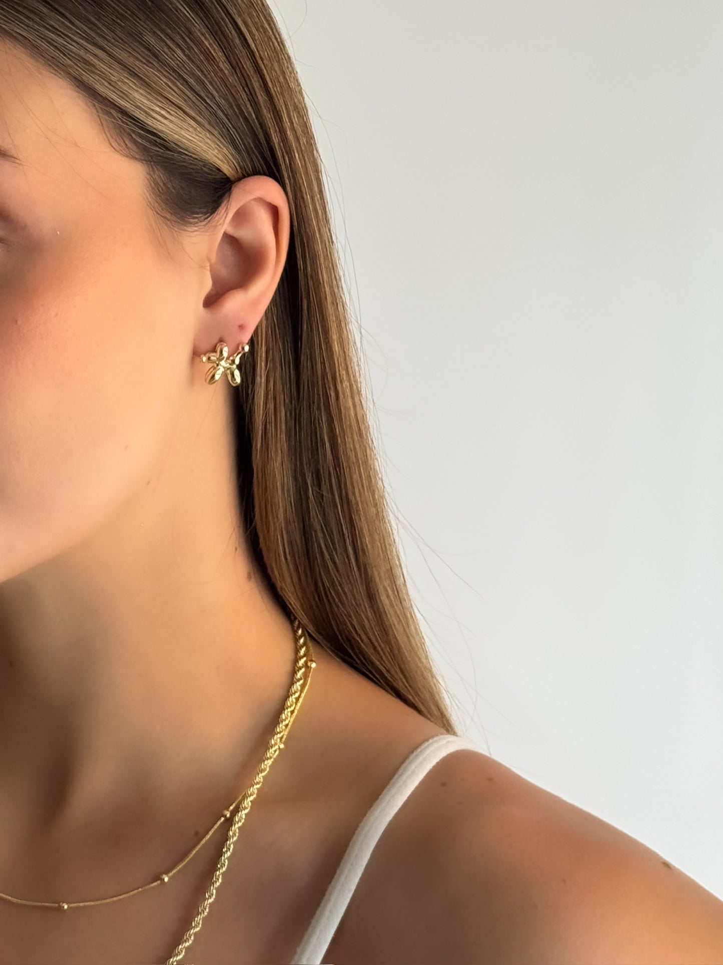 ARETES PERRITO GLOBO