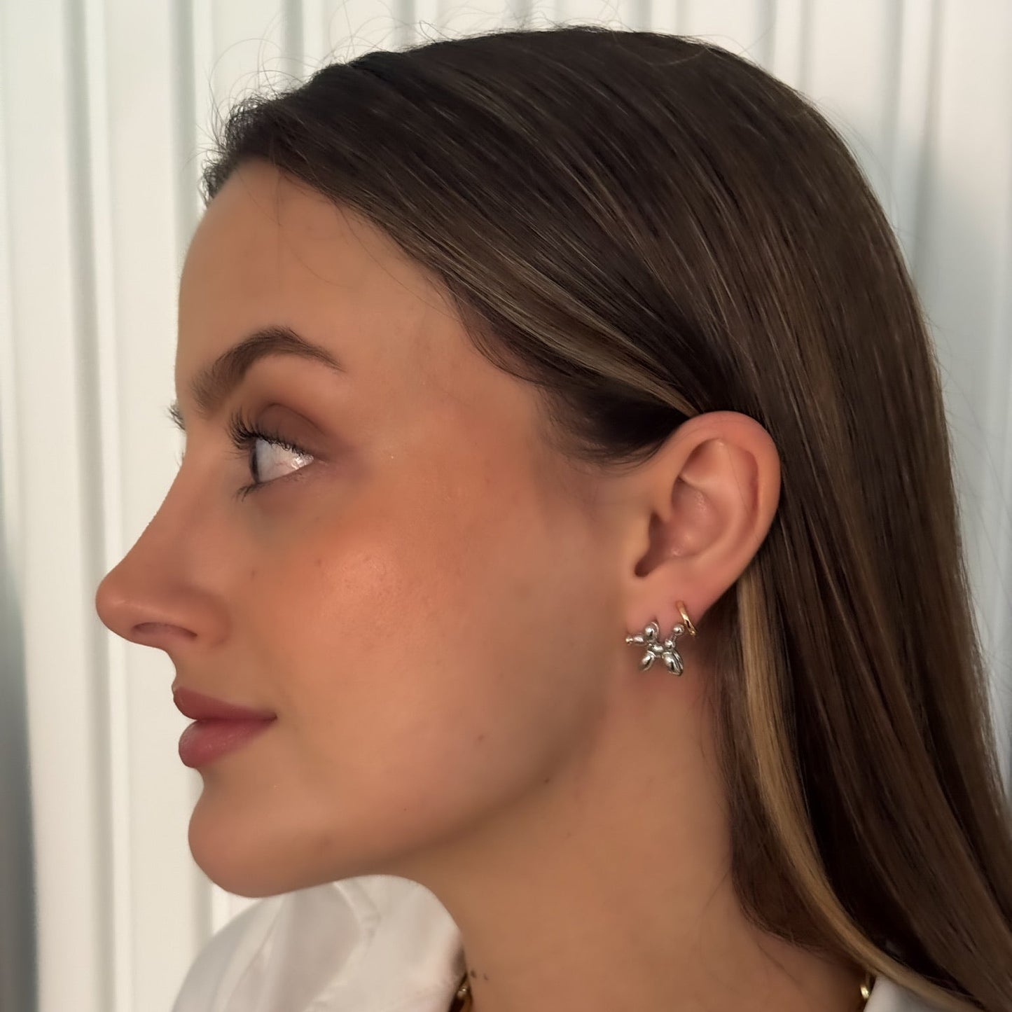 ARETES PERRITO GLOBO