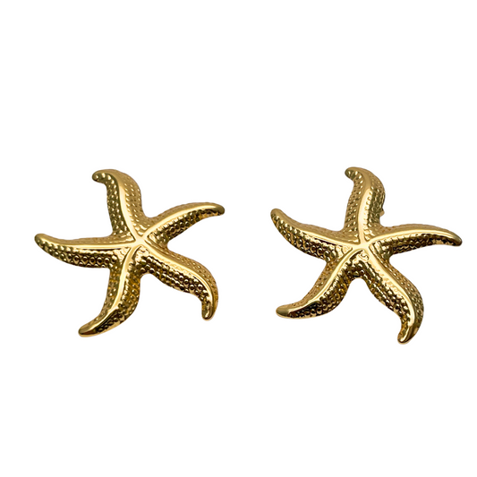 ARETES ESTRELLA DE MAR
