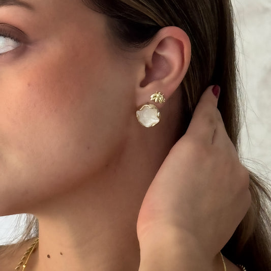 ARETES NACARADO