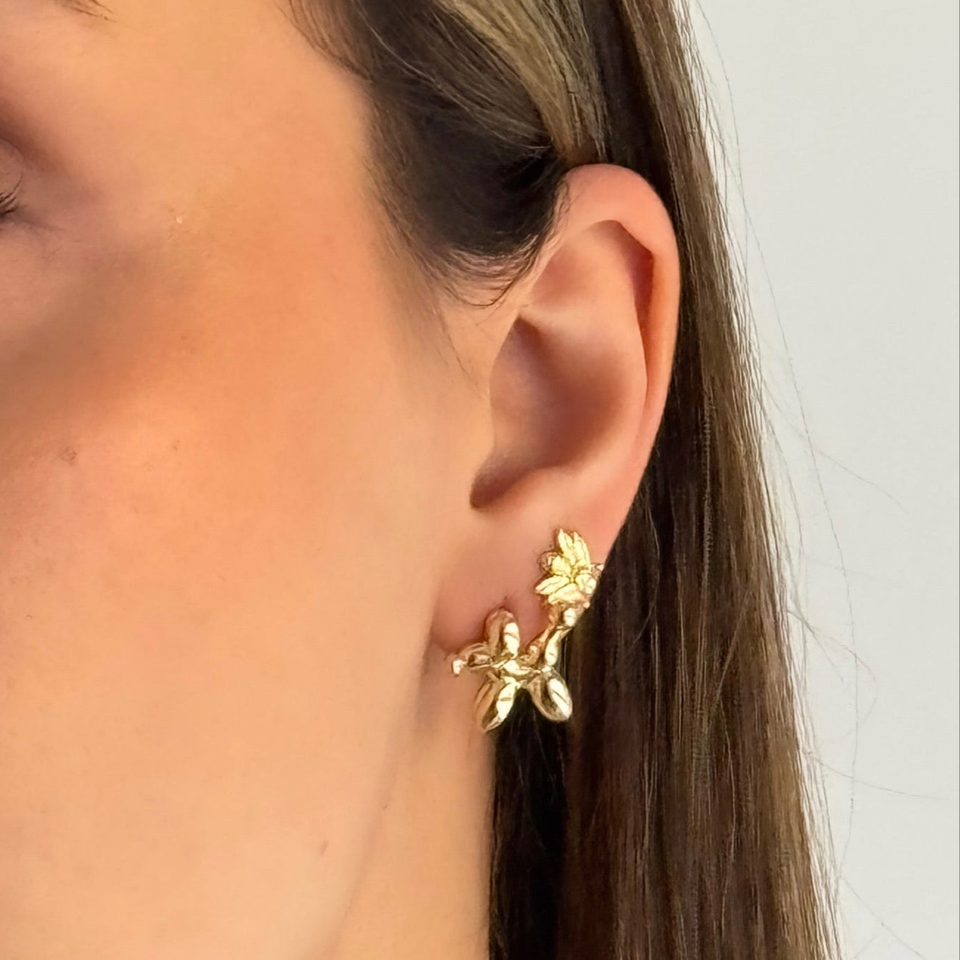ARETES PERRITO GLOBO